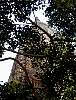 p0010026.jpg