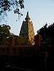 p0010036.jpg