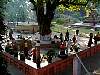 p0010050.jpg