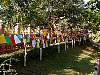 p0010065.jpg