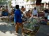 p0010084.jpg