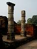p1010089.jpg