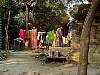 p1010170.jpg