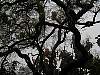 p1010187.jpg